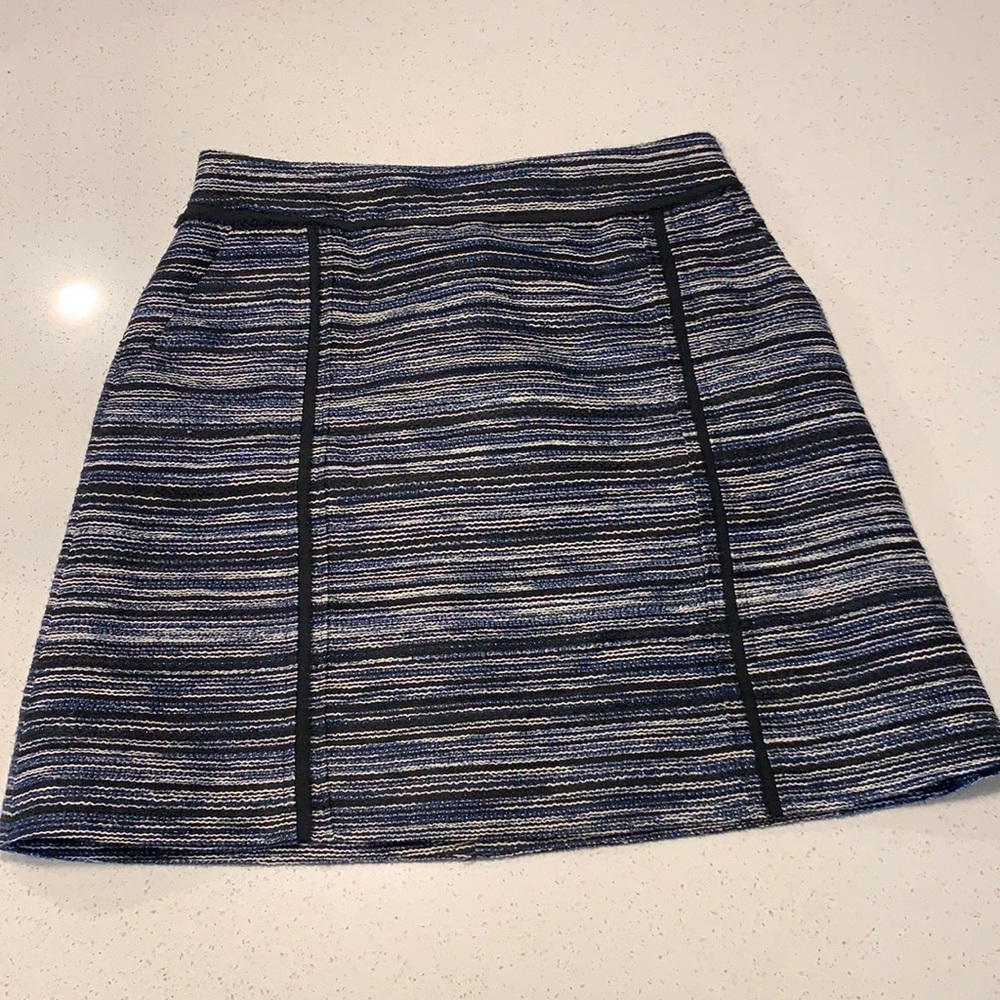 Jason Wu Blue and Black Skirt